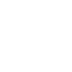 TMN TECHNOLOGIES LOGO